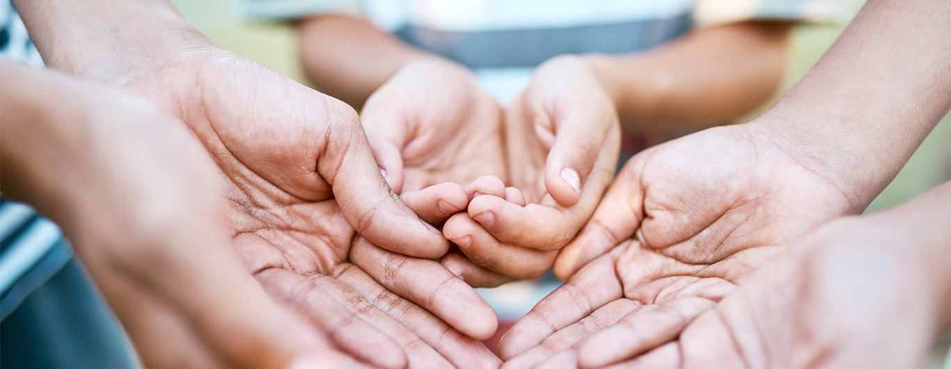 SOSYAL HİZMET ALANLARI